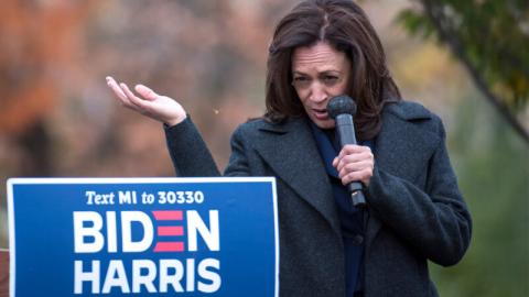 2020年民主党副总统候选人贺锦丽（Kamala Harris）。（Nic Antaya/Getty Images）